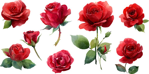 Naklejka premium bouquet of red roses