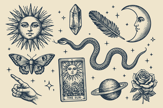 Mystic sun moon snake tarot symbols engraving vector illustration