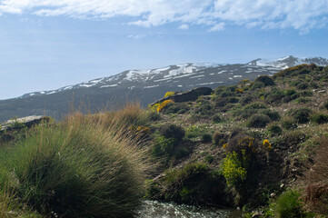 Water stream flowing from melting snow in the spring, Sierra Nevada range, Andalusia, Spain