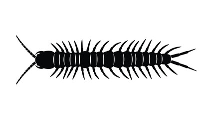 A striking black centipede illustration with many legs a detailed silhouette © MdMosharef