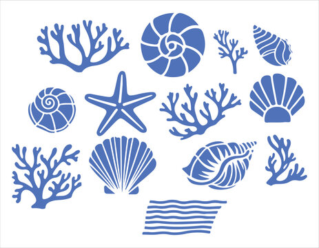 Collection of various blue sea shells and corals