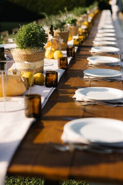 Outdoor banquet table setup with tuscan elements