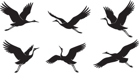 Obraz premium Six black silhouette birds in flight against a white background