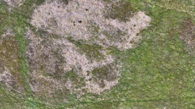 view of high moorland terrain looking downward at rough grass and exposed at rocks midgley moor in west yorkshire