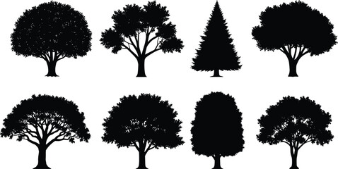 Fototapeta premium Silhouettes of diverse tree shapes and branching patterns, including coniferous and broadleaf varieties, illustrating forest diversity, landscape design, botany st