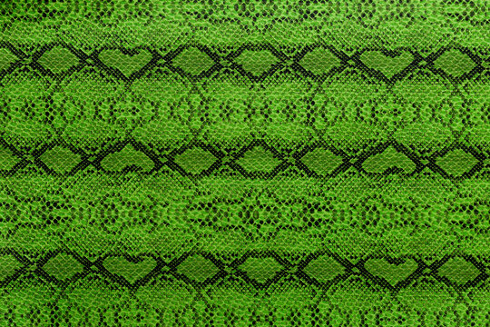 Green snake skin pattern shows texture and design with shapes and lines in bright colors and details that draw attention