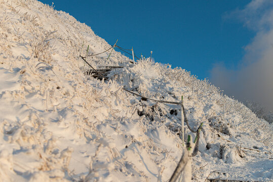 Snowy mountain hiking trail with frosted bushes and safety ropes under a clear blue sky during golden hour sunset. Trail to Smerek peak, Bieszczady National Park, Poland.