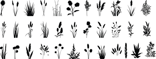 Collection of black and white of various plants and flowers in different styles and shapes nature © Frd Art