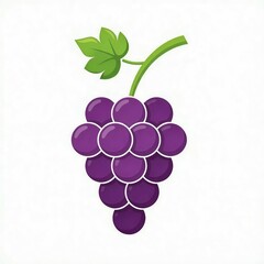bunch of grapes illustration 