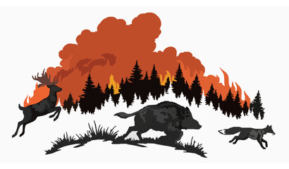 Hand Drawn Forest Fire Vector Wild Animals Silhouettes Deer Boar Fox Birds © Md