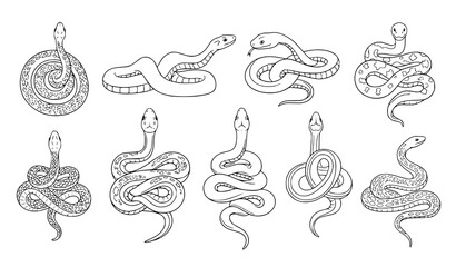 Obraz premium Hand Drawn Snake Vector Icons Reptile Illustration Monochrome Collection