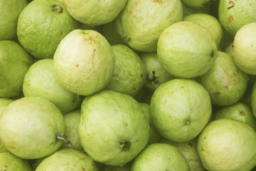 Many guava fruits close up