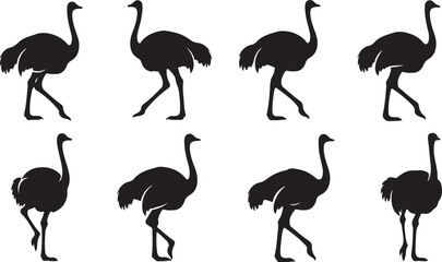 Fototapeta premium Eight black silhouettes of ostriches walking in various poses and directions