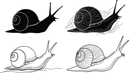 Snail silhouette and line art set, gastropod illustration collection, black and white mollusk drawings, isolated vector design elements © MstLaila