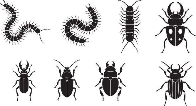A detailed illustration of various types of insects and worms