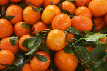Many fresh tangerines as background	