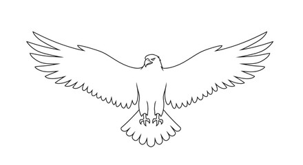 Fototapeta premium Majestic eagle in flight with wings spread wide.