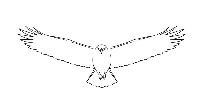Majestic Eagle Soaring with Wings Spread Wide in Simple Line Art.