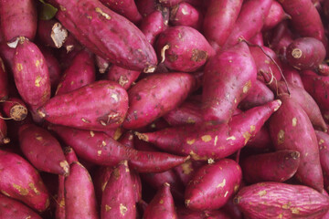 Many purple sweet potatoes close up as background