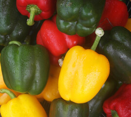 Different sweet peppers close up