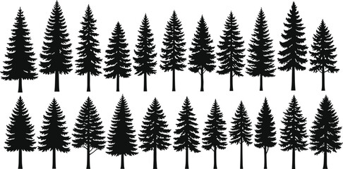 Collection of pine tree silhouettes, coniferous forest evergreen trees set, cad drawing flat vector illustration, nature landscape design elements, black isolated on white © Sujay