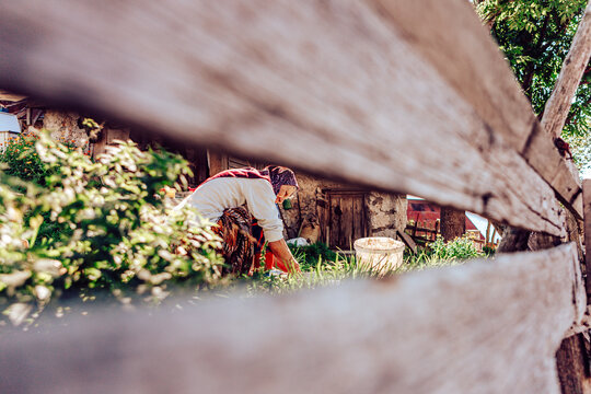 Lukomir, Bosnia and Herzegovina - 29 August 2015: View of a woman tending to her garden, framed by weathered wooden planks, the scene a blend of rustic charm and simple living.