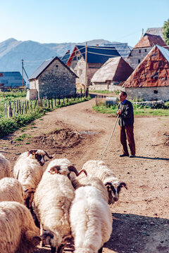Lukomir, Bosnia and Herzegovina - 29 August 2015: View of a shepherd guiding his flock through the rustic village, the old stone houses stand under the vast blue sky.