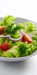 Fresh vegetable salad with lettuce, tomatoes, red onions, and parsley in a white bowl