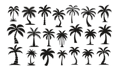 Fototapeta premium Stylized Tropical Palm Tree Silhouettes for Summer Vacation and Beach Design