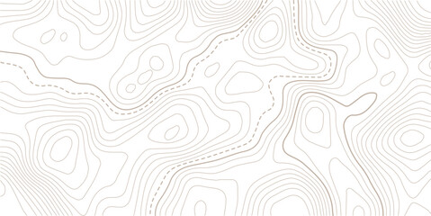 Abstract pattern with lines seamless pattern and topography.  Modern design with White background with topographic wavy pattern design.Contour background geographic grid. Vector illustration. © NAZMA