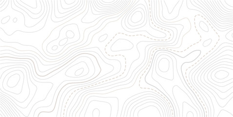 Abstract pattern with lines seamless pattern and topography.  Modern design with White background with topographic wavy pattern design.Contour background geographic grid. Vector illustration. © NAZMA