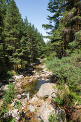 Fototapeta premium Rila Mountain near Beli Iskar River, Bulgaria