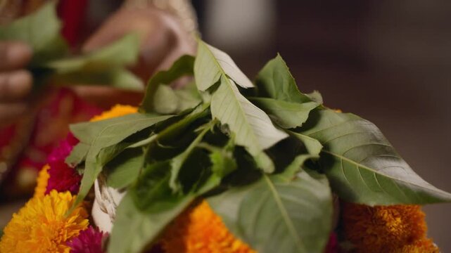 Shivratri Ritual Offering Bel Leaves and Flowers to Lord Shiva