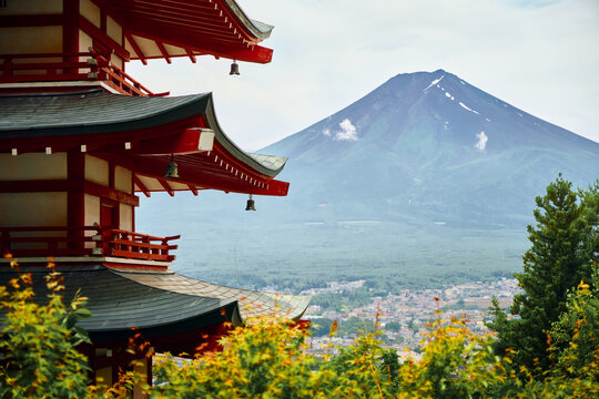 Mount Fuji view pagoda tree