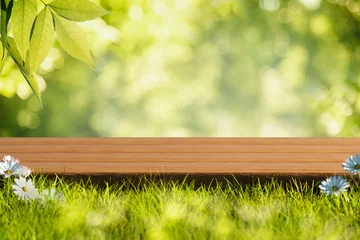 Spring background with green grass, daisy, tree foliage and empty wooden table in nature outdoor. Natural organic product placement mockup template. Easter layout design. © hitdelight