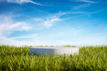 Natural podium in green grass with blue sky backdrop. Nature background for easter, spring, summer season, sport showcase. Eco organic product placement mockup template design. © hitdelight