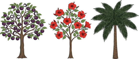 Vector illustration set featuring mangosteen fruit tree, red hibiscus flower tree, tropical palm, cattails, green shrubs, and wild meadow grass. © fulbabu
