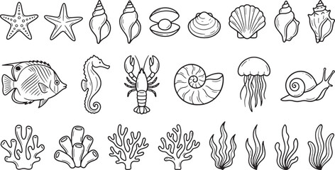 Underwater marine life illustrations including starfish seashells fish and coral reef elements for ocean themed designs © Meizan 