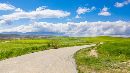 Obraz premium Winding country road through green fields in Valle del Almanzora, Almería, Spain.