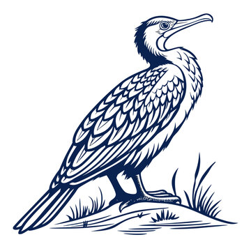 Blue heron standing on a mound bird