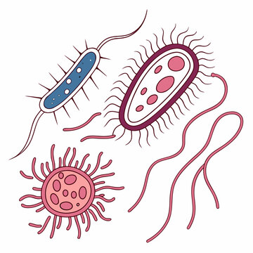 Bacteria shapes with flagella and pili microorganisms