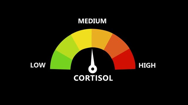 Animated digital gauge displays cortisol level, ranging from safe low to critical high, indicator changes through green, yellow, and Motion graphics of mater level concept.4k video animation.