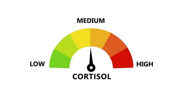Animated digital gauge displays cortisol level, ranging from safe low to critical high, indicator changes through green, yellow, and Motion graphics of mater level concept.4k video animation.