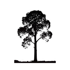 Fototapeta premium tree silhouette vector