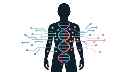 Human silhouette with DNA strand and circuit board connections design concept.
