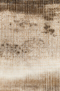 Petrified Wood Pattern, close up