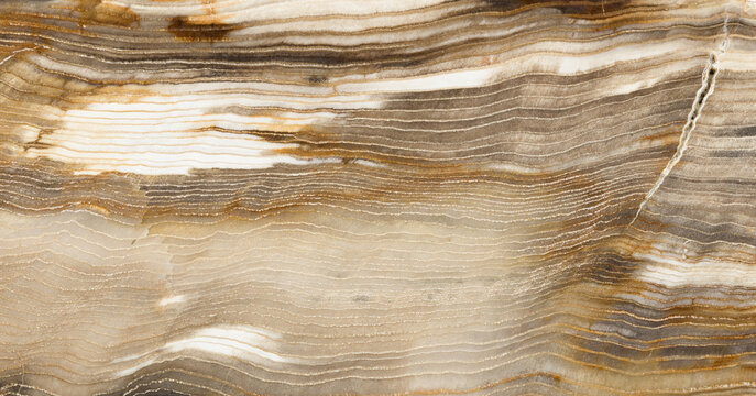 Fossilized wood patterns, close up