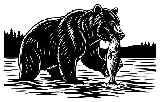 ite illustration of a bear holding a fish in its mouth, bear, black, brown, brown bear, catch, fish, hook, illustration, image, lake, mouth, salmon, stand, water, white, against transparent background
