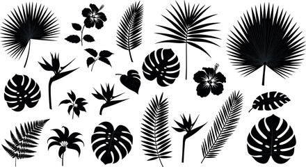 Tropical palm leaves and exotic jungle plant silhouettes vector set for botanical design, nature backgrounds, summer themes, and decorative illustrations © REYAD