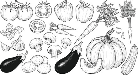 Collection of vintage hand-drawn vegetable sketches including pumpkin tomatoes carrots bell peppers eggplant and mushrooms isolated on white background for organic food packaging.